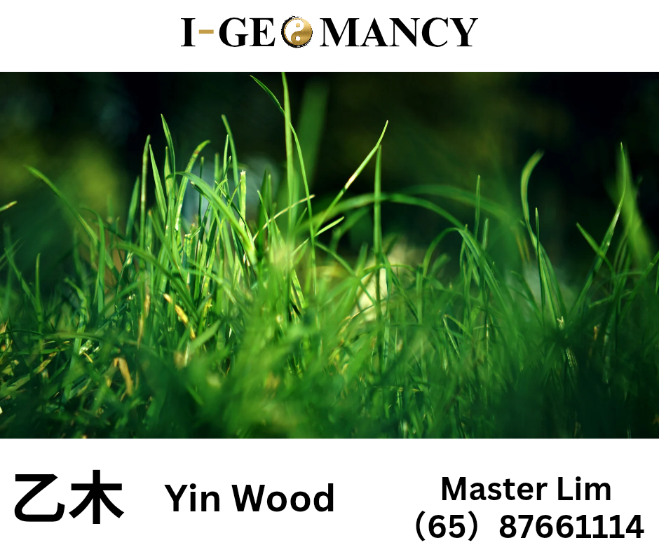 🌿 Yi Wood Daymaster Forecast — 12 September 2025