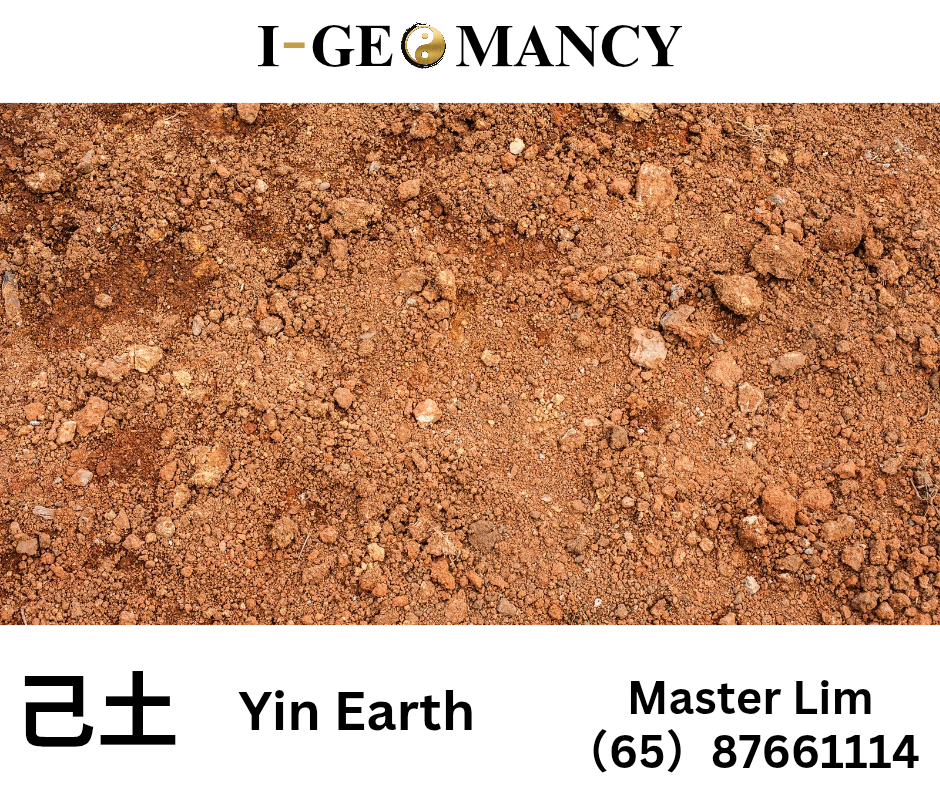 🌾 Ji Earth Daymaster Forecast — 12 September 2025
